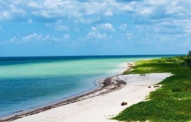 Terrenos en venta en la playa de San Crisanto