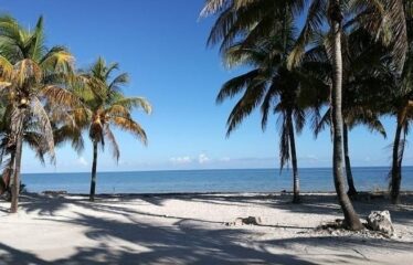 Terrenos en venta en la playa de San Crisanto