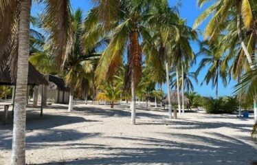 Terrenos en venta en la playa de San Crisanto