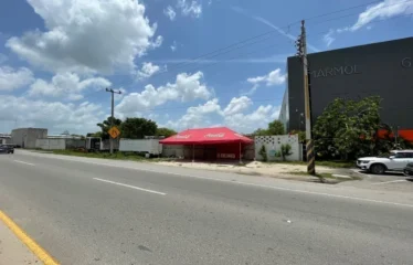 Terreno en venta para comercio o industria a pie de carretera.