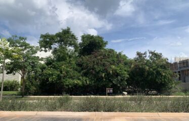 Terreno en venta en privada Oasis dentro del Yucatán Country Club.