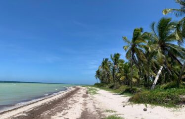 Terreno en venta frente al mar en San Crisanto, Yucatán.