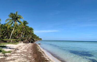 Terreno en venta frente al mar en San Crisanto, Yucatán.